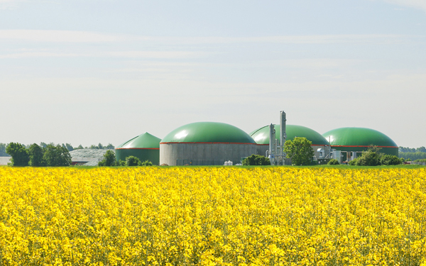 Biogas VDI